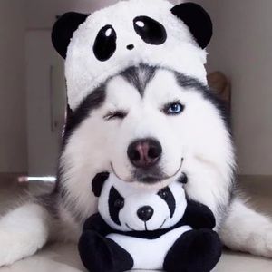 Meet your Posher, Peggy